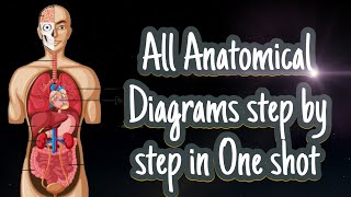 All Anatomical Diagrams step by step in One shotparamedical RPMC Guruvidhya [upl. by Lorak533]