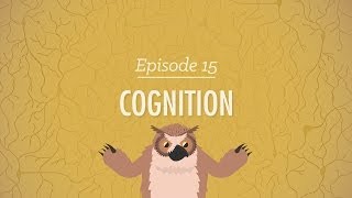 Cognition  How Your Mind Can Amaze and Betray You Crash Course Psychology 15 [upl. by Tebor]