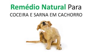 Como CURAR Coceira em CACHORROS Com Remédio CASEIRO [upl. by Leseil]