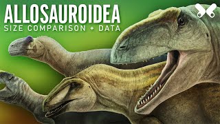 ALLOSAUROIDEA Dinosaurs size comparison and data [upl. by Akinihs]