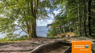 Die Architektur des Buchenwaldes im Nationalpark Jasmund auf Rügen [upl. by Letnom327]