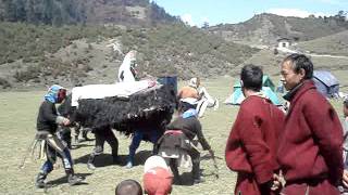 Merak Sakteng Trek Bhutan By Boonserm Tours amp Travels [upl. by Eitsirhc]