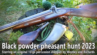 Pheasant hunting with an original 10ga Westley Richards percussion shotgun [upl. by Bettina653]