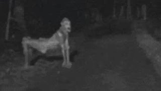 Recent NM skinwalker photo ignites fear [upl. by Ennaira]