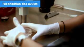 IVI Cliniques de procréation assistée  Fécondation in vitro résultats UE 2014 [upl. by Ainomar]