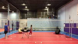 Setter Training with Carsen [upl. by Yruy]