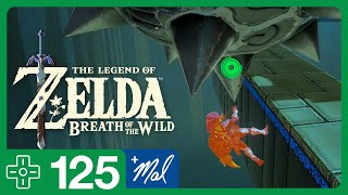 quotSynced Swingquot  Zelda Breath of the Wild 125 [upl. by Vudimir]