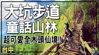 全木頭建造的森林步道？就在台中阿！童話秘境裡可以練體力？！大坑步道 [upl. by Cinimmod431]