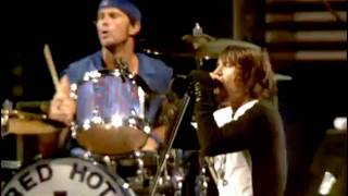 Red Hot Chili Peppers  Parallel Universe  Live at Slane Castle [upl. by Macdonald]