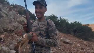 صيد الحجل و الأرنب  الصيد البري chasse sauvage  chasse perdrix et lièvre aux Maroc [upl. by Roselani]