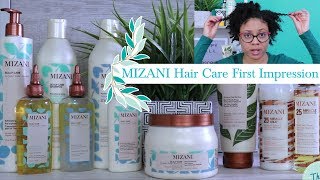 Mizani Hair Products  Mizani Scalp amp Natural Hair Care [upl. by Orsino868]