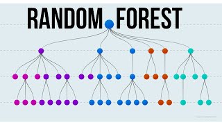 Random Forest Algorithm  Beginners Guide in Bangla ML amp AI [upl. by Arron]