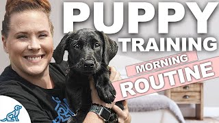 5 Puppy Training WINS You Should Get EVERY Morning [upl. by Charlean]