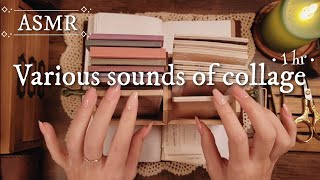 ASMR｜コラージュの色々な音Various sounds of collage｜sleepingRelaxing 睡眠作業BGM [upl. by Nilpik]