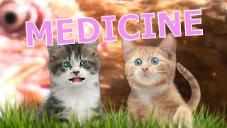 Medicine  Rathergood Chat episode 16 [upl. by Aemat]