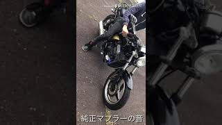 エリミネーター 250 SE 直管 [upl. by Felske646]