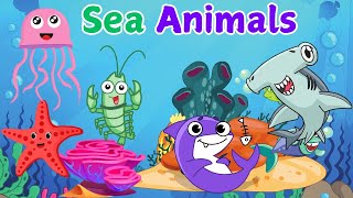 Sea animals nameWater animals nameSea creaturesOcean animals [upl. by Effy]