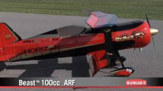 Beast 100cc ARF by Hangar 9 [upl. by Lacagnia402]