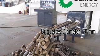 Doubleend wood briquettes machine is hitting the market now [upl. by Desdamona]