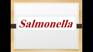 Classification of salmonella medically important species quotMedical microbiology [upl. by Emmalynn190]