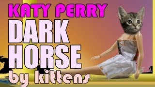 Katy Perry  Dark Horse Cute Kitten Parody [upl. by Four]