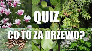 Quiz Polskie Drzewa 2 [upl. by Karlens]