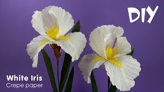 How to make crepe paper flowers  Crepe paper IRIS  DIY Craft tutorials [upl. by Fredrick50]