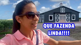 Conhecendo um fazendinha nos Estados Unidos  Southern Hill Farms [upl. by Htir]