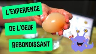 Transformez votre œuf 🥚 en œuf rebondissant mou et transparent [upl. by Laehcor]