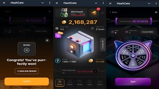 HashCats  New Feature Helps You Earn More HASH Coins Faster  Come Join Me  Telegram Crypto Bot [upl. by Maxine]