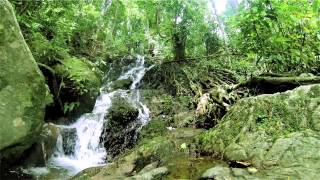 Guided Meditation 45 Minutes Guided Meditation  Track 05 [upl. by Kimon]