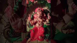 Colour change effect ganpati decor zapukzupuk trending song [upl. by Onaicnop963]