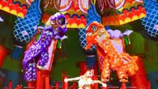 2019 CCTV Spring Festival Gala  Lion Dance CCTV English [upl. by Anitneuq]