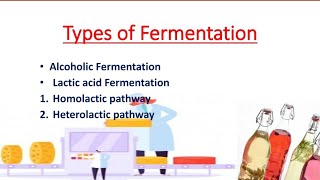 Types of Fermentation  Alcoholic  Lactic acid  Homolactic pathway  Heterolactic pathway Hindi [upl. by Arved]