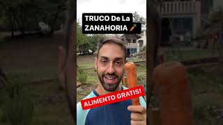 TRUCO Valioso Con La ZANAHORIA 🥕 Alimento GRATIS [upl. by Falkner]