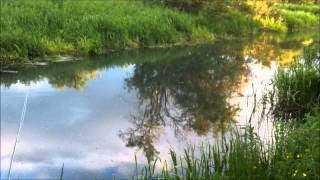 Under the Surface  Vol10 Fly Fishing for Pike on Pocklington Canal 13 06 13 [upl. by Malachy792]