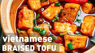 Vietnamese Braised Tofu amp Mushrooms [upl. by Taam]