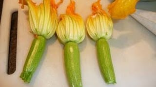 courgettes fleurs mousse rascasse [upl. by Aneroc]