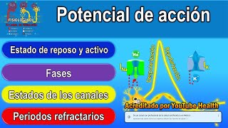 POTENCIAL DE ACCIÓN resumido  Potencial de acción neuronal  Potencial de acción fisiología [upl. by Anileda940]