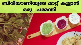 Beetroot Chammanthi  Green Chammanthi  Side Dish For Biriyani [upl. by Nudd110]