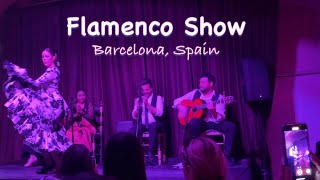 Flamenco Show in Barcelona Spain [upl. by Houghton]