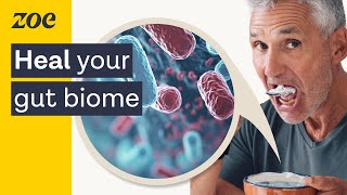 Gut microbiome testing The secrets of your gut  Profs Tim Spector and Nicola Segata [upl. by Dustin]