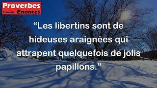 Proverbe Français  Les libertins sont de hideuses araignées qui attrapent quelquefois de jolis papi [upl. by Ahsenit]