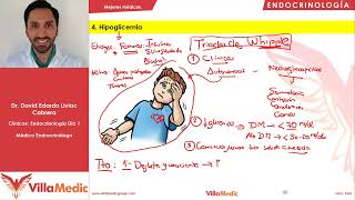 Hipoglicemia  Endocrinología  Villamedic Clínicas 2021 [upl. by Mllly]