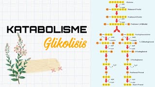 Glikolisis  Katabolisme [upl. by Otrebmal694]