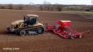 4k Väderstad Rapid A800S 8m drill a CAT Challenger MT845 C plus a 40 year old MF harrow at the end [upl. by Alemak]