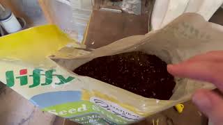 Honest Review of Jiffy Organic Seed Starter Mix [upl. by Alroy]