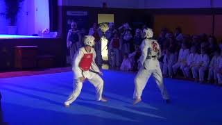 Budo Gala 2018 [upl. by Cecelia683]