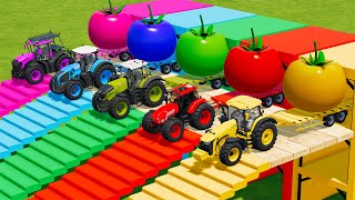 LAMBORGHINI vs FENDT vs JOHN DERRE vs CLAAS vs JCB TRACTORS BATTLE WITH TOMATOES  Fs 22 [upl. by Niletac]