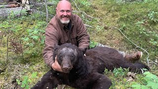 BEARS EVERYWHERE  Baiting Bears in Alaska [upl. by Acireit]